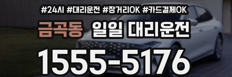 금곡동 일일 대리운전