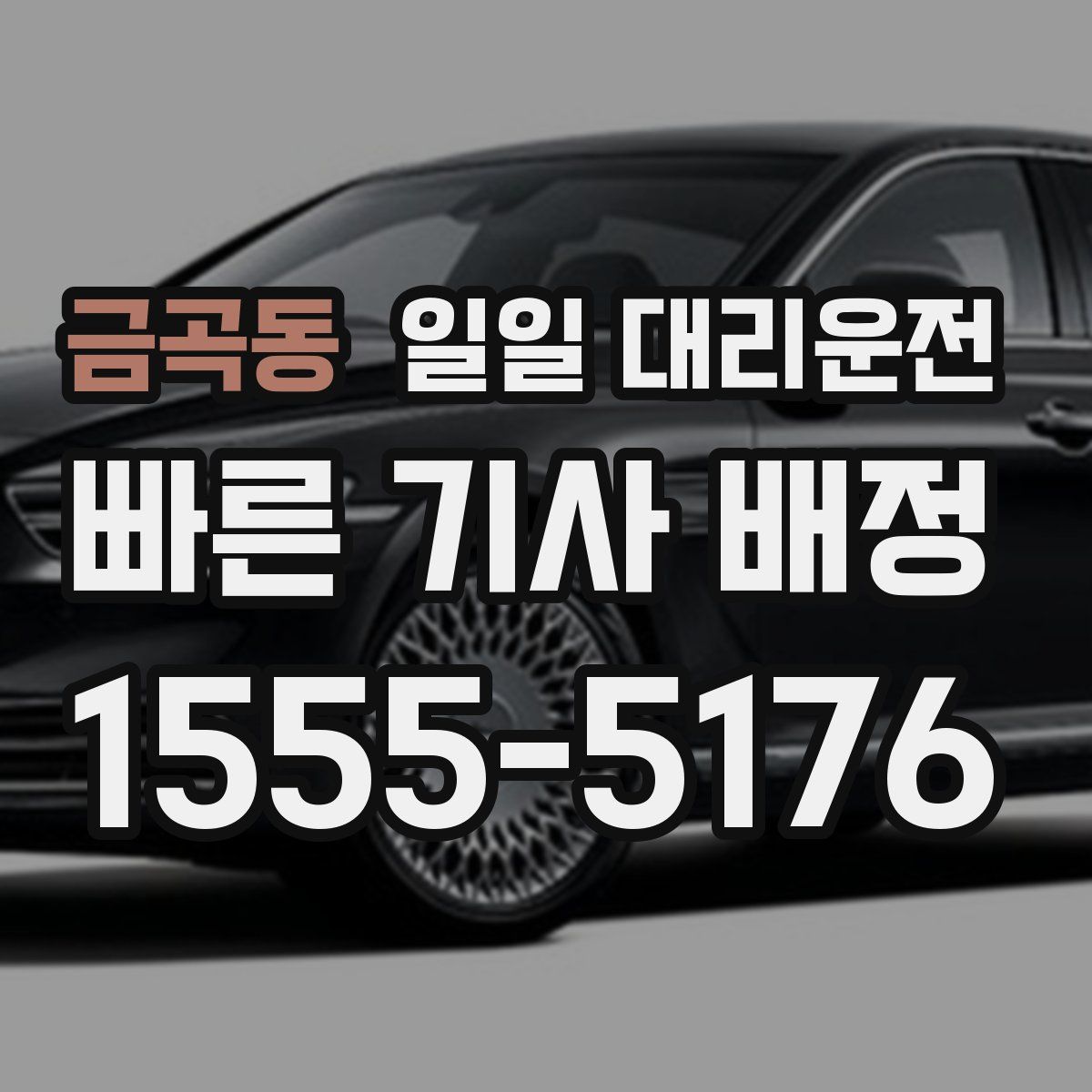 금곡동 일일 대리운전