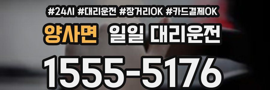 양사면 일일 대리운전