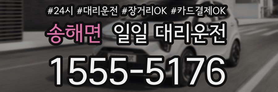 송해면 일일 대리운전