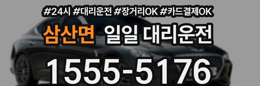 삼산면 일일 대리운전