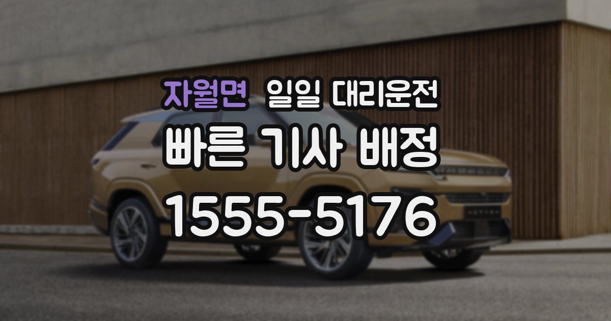자월면 일일 대리운전