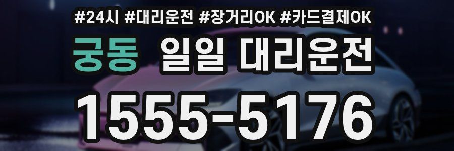 궁동 일일 대리운전