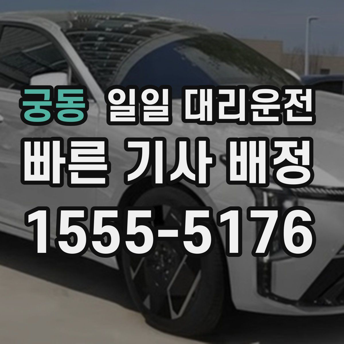 궁동 일일 대리운전