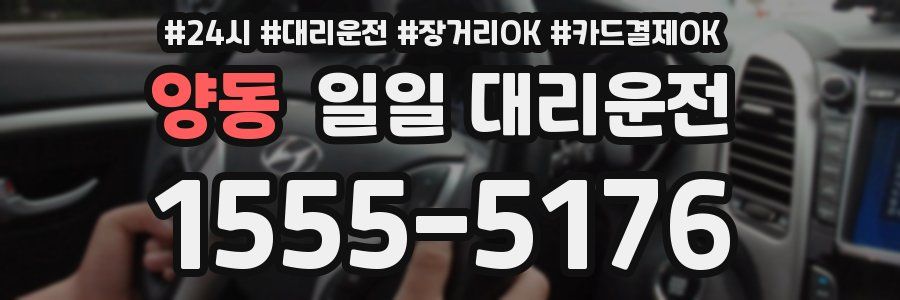 양동 일일 대리운전