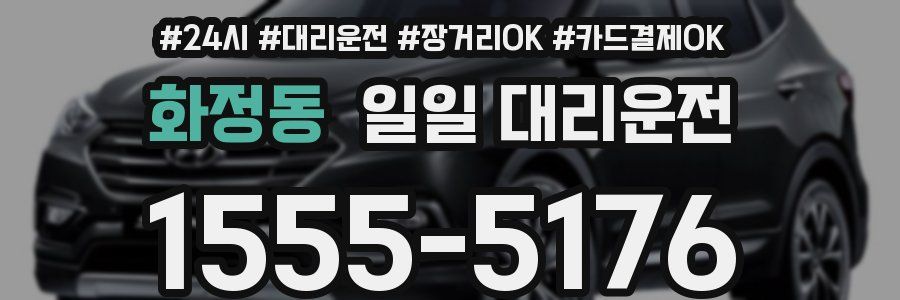 화정동 일일 대리운전