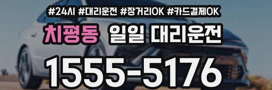 치평동 일일 대리운전