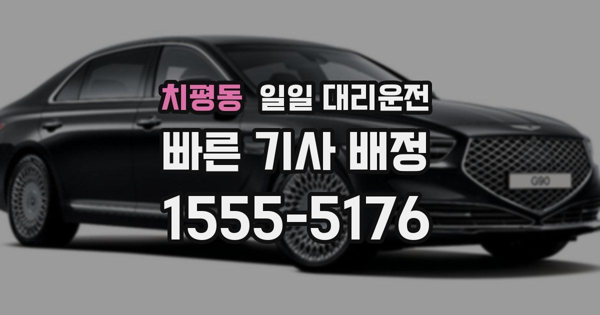 치평동 일일 대리운전