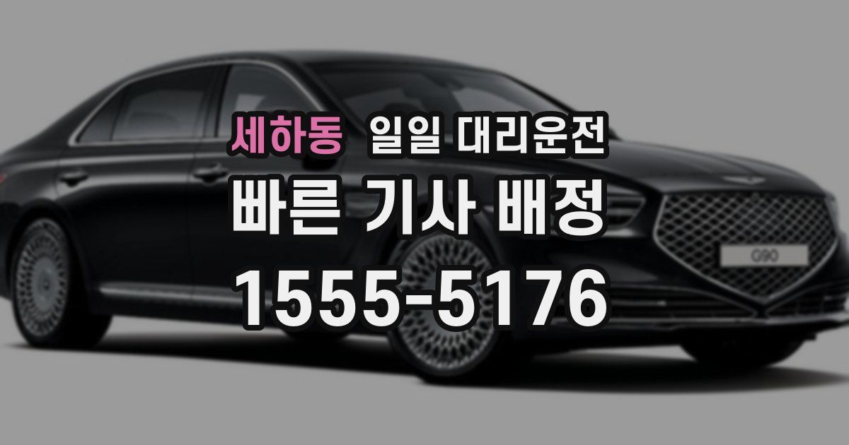 세하동 일일 대리운전
