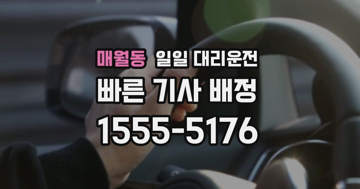 매월동 일일 대리운전