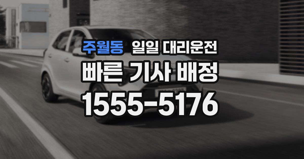 주월동 일일 대리운전