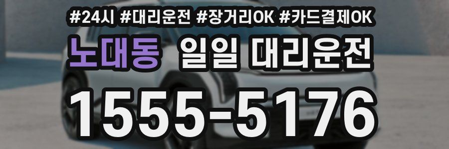 노대동 일일 대리운전