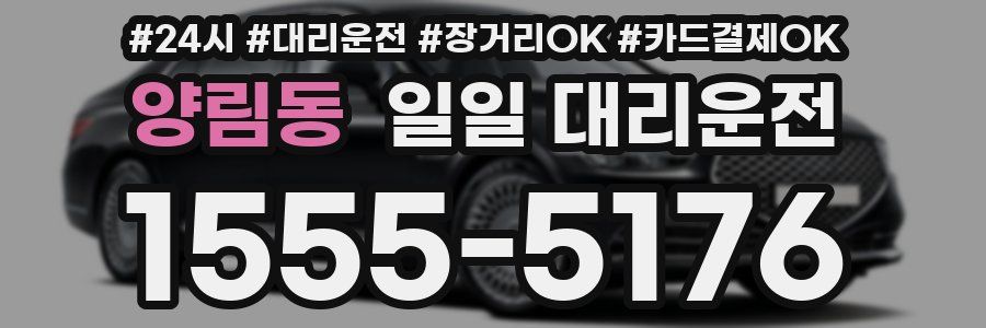 양림동 일일 대리운전