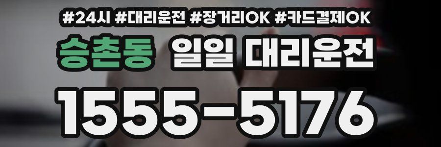 승촌동 일일 대리운전