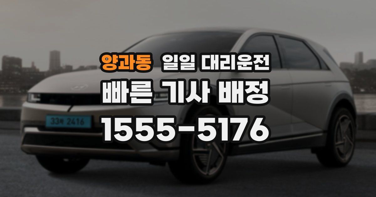 양과동 일일 대리운전