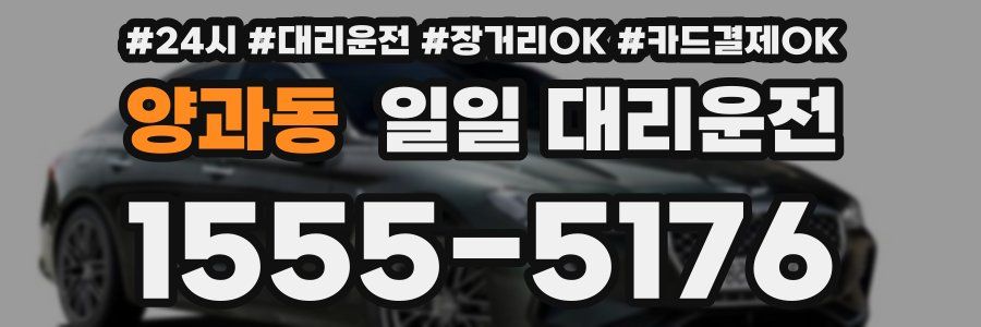 양과동 일일 대리운전