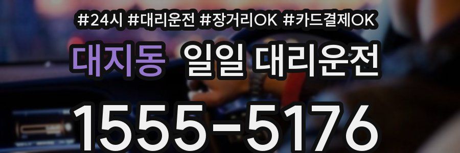 대지동 일일 대리운전