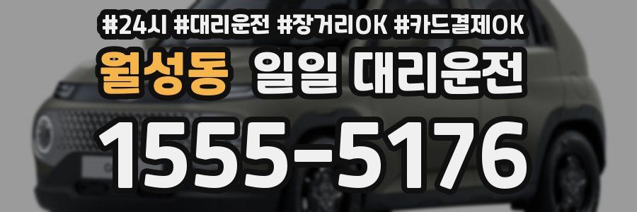 월성동 일일 대리운전