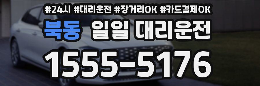 북동 일일 대리운전