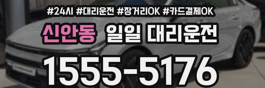 신안동 일일 대리운전