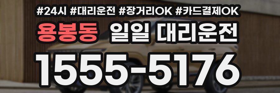 용봉동 일일 대리운전