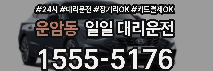 운암동 일일 대리운전