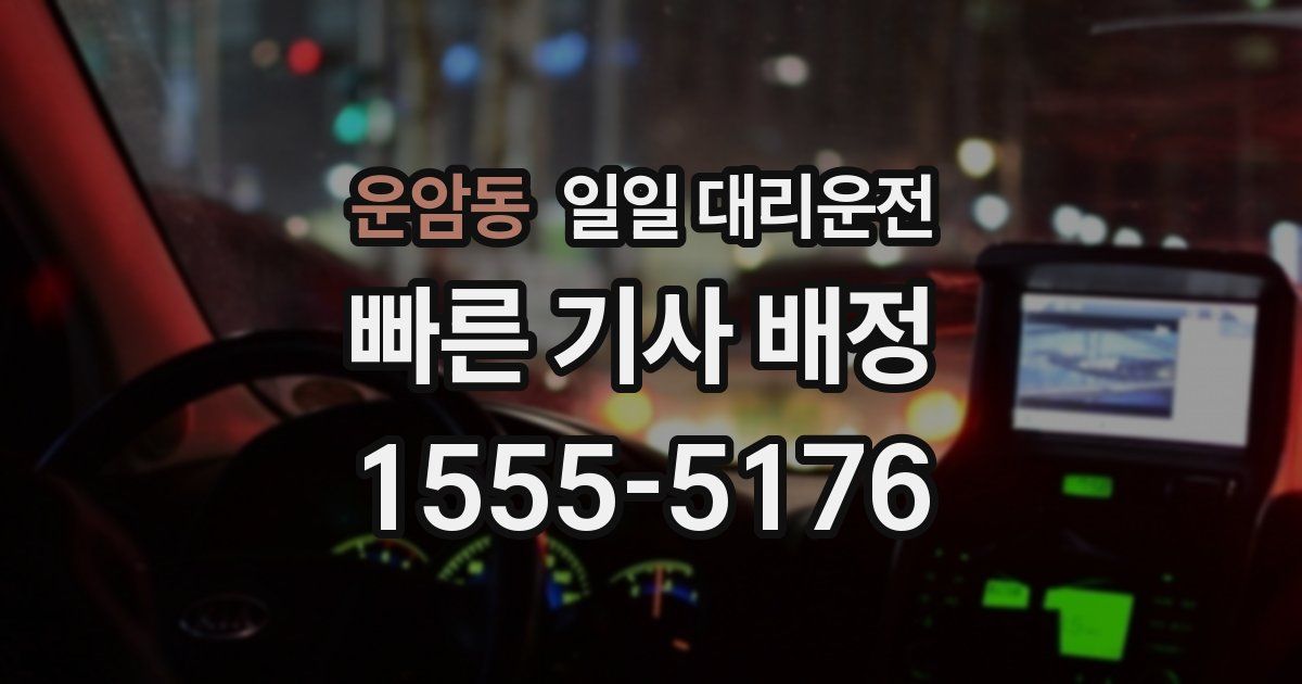 운암동 일일 대리운전