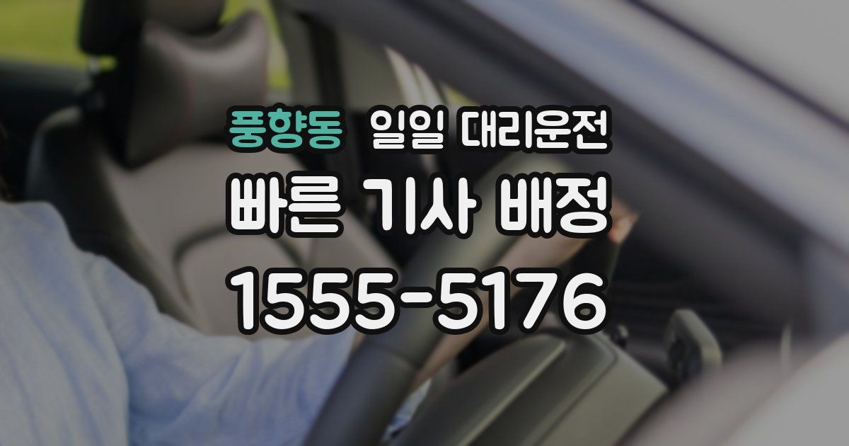 풍향동 일일 대리운전