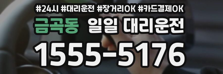 금곡동 일일 대리운전
