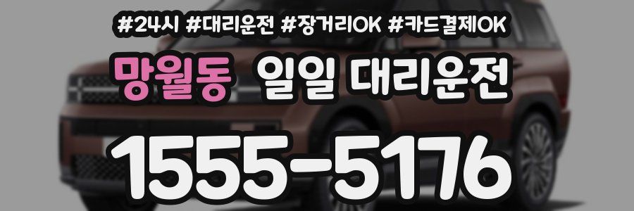 망월동 일일 대리운전