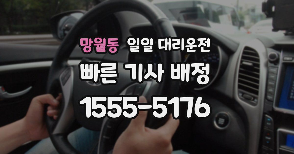 망월동 일일 대리운전