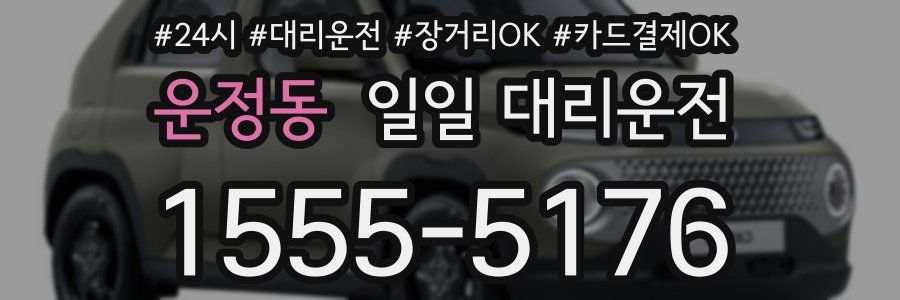 운정동 일일 대리운전