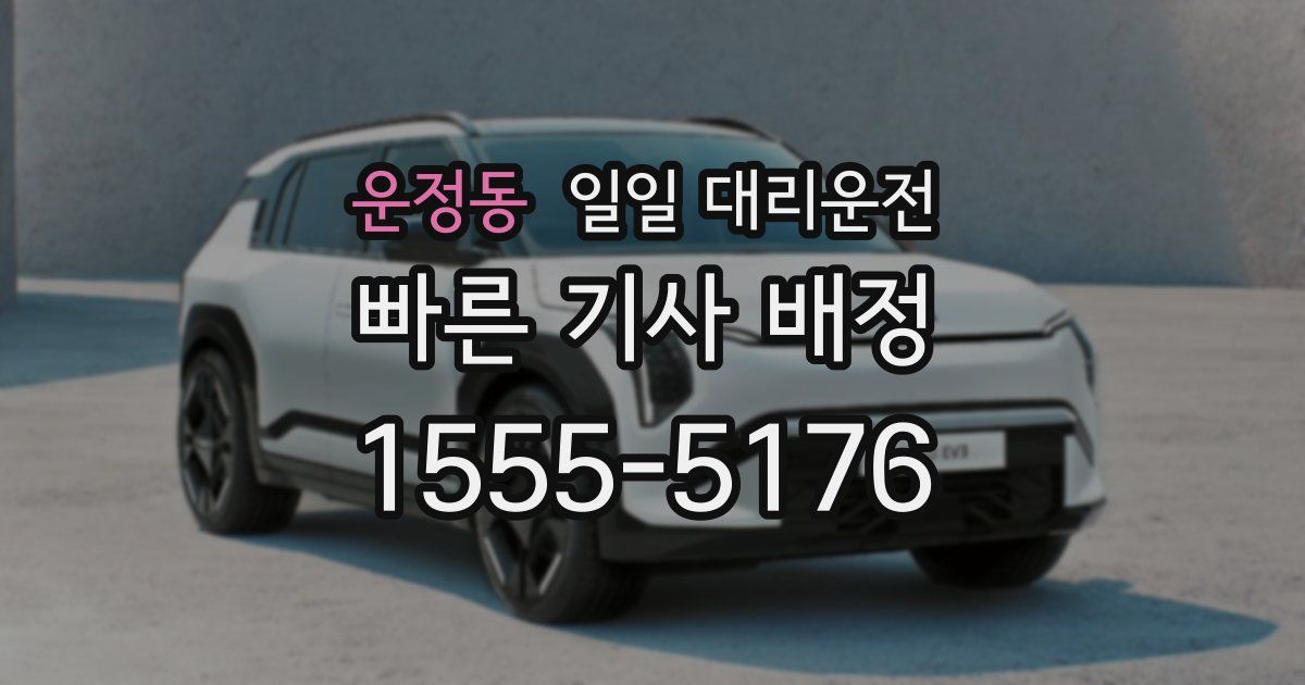 운정동 일일 대리운전