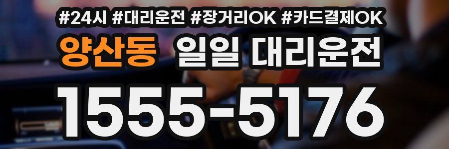 양산동 일일 대리운전