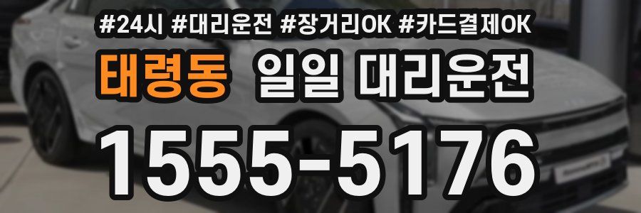 태령동 일일 대리운전