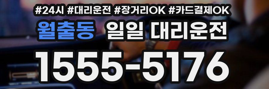 월출동 일일 대리운전