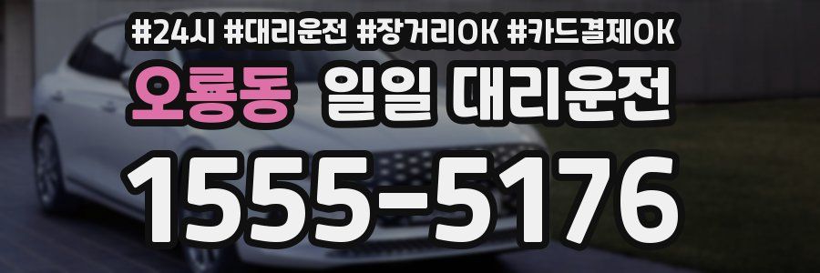 오룡동 일일 대리운전