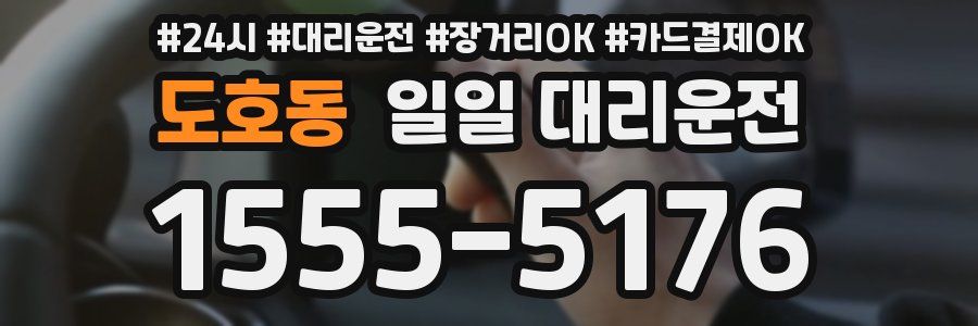 도호동 일일 대리운전