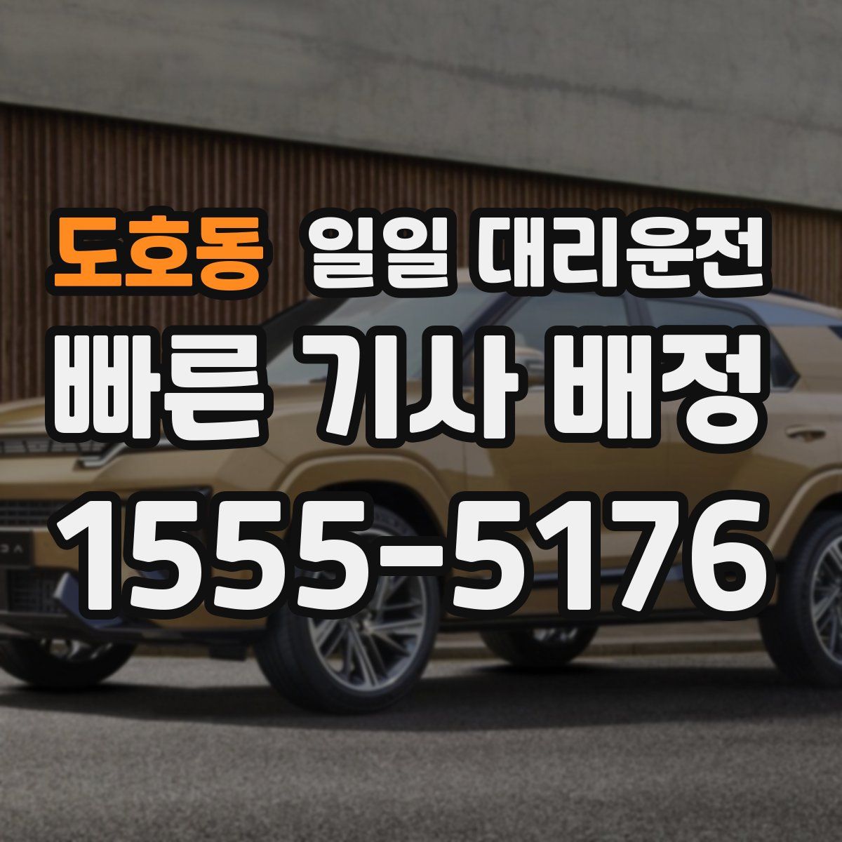 도호동 일일 대리운전
