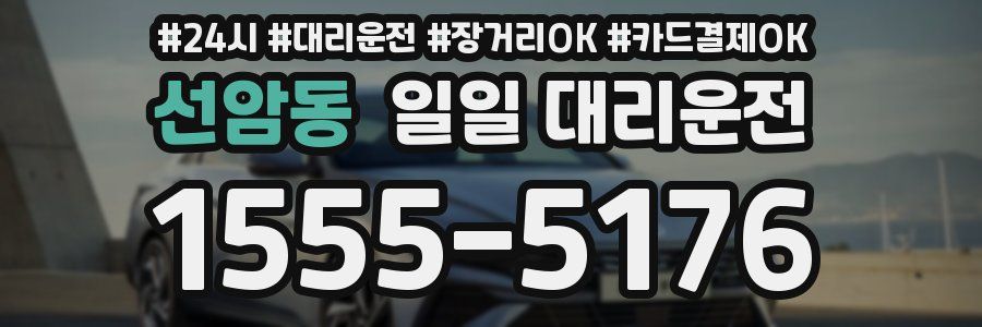 선암동 일일 대리운전