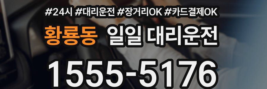 황룡동 일일 대리운전