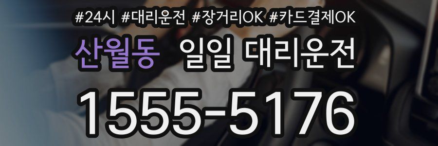 산월동 일일 대리운전