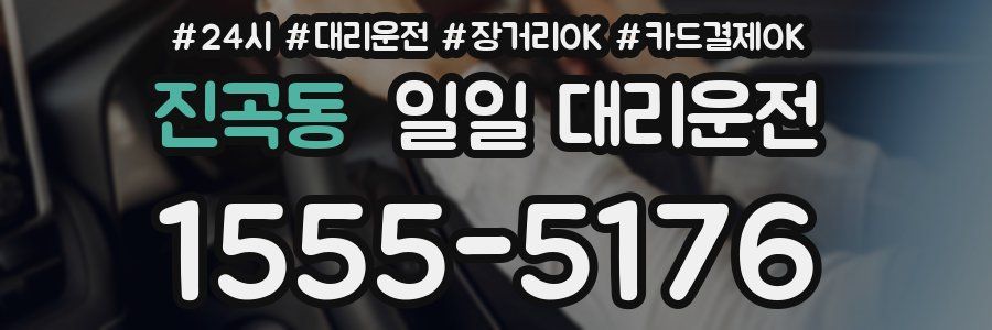 진곡동 일일 대리운전