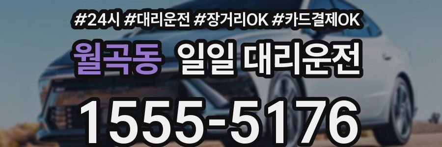 월곡동 일일 대리운전