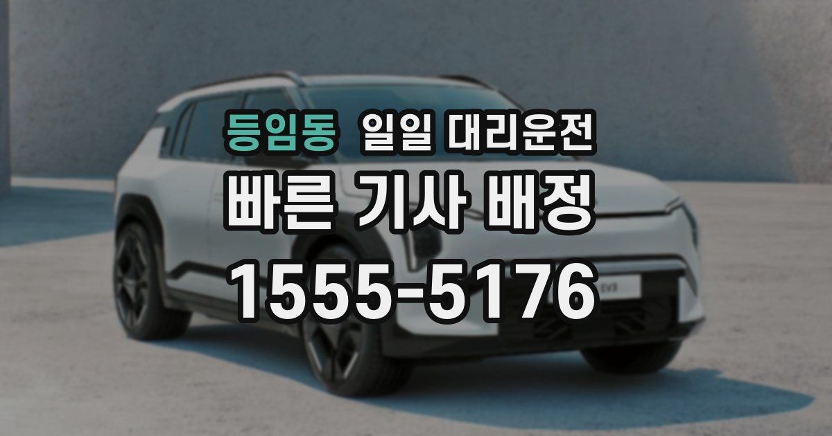 등임동 일일 대리운전