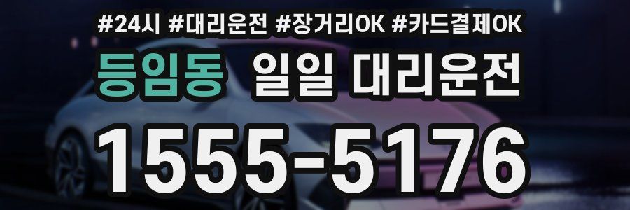 등임동 일일 대리운전