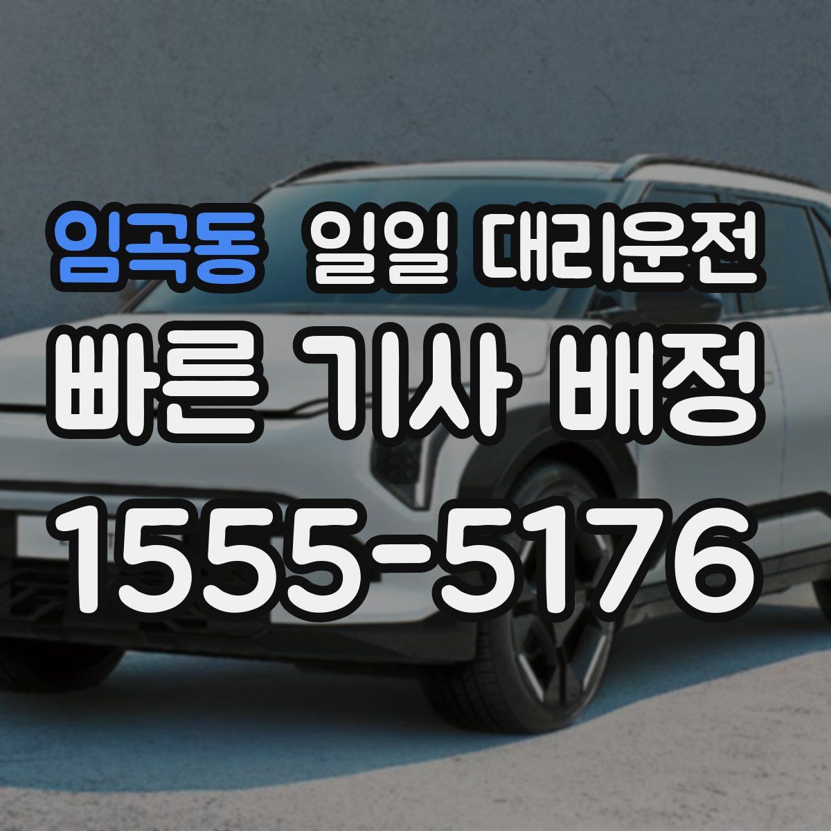 임곡동 일일 대리운전