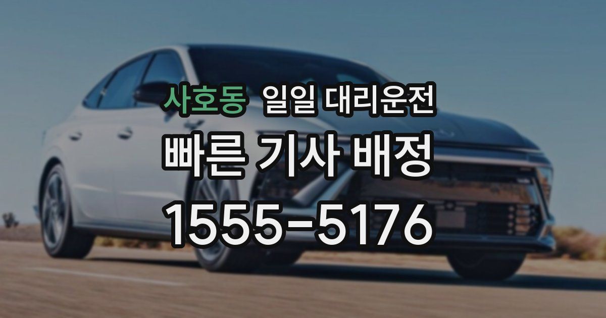사호동 일일 대리운전