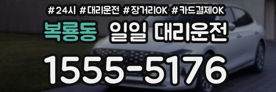 복룡동 일일 대리운전