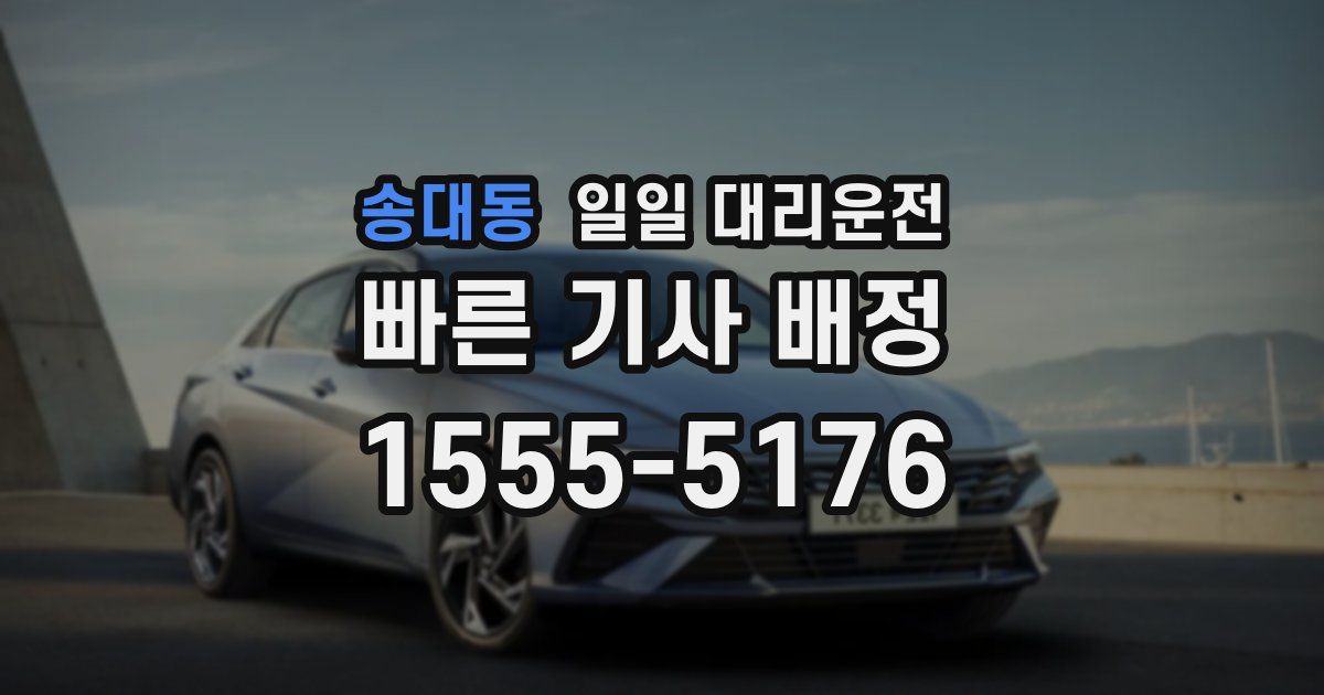 송대동 일일 대리운전